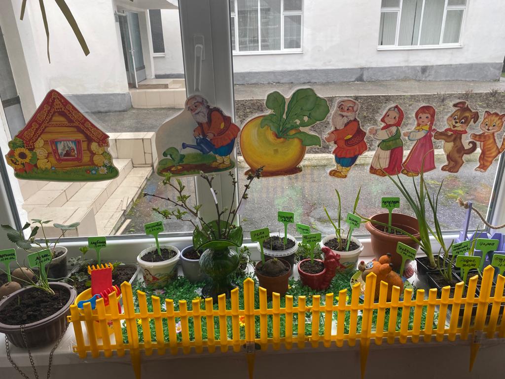 Конкурс огород на окне в детском саду. Огород на окне в детском саду. Огород на подоконнике в детском саду. Огород на окне в ДОУ.
